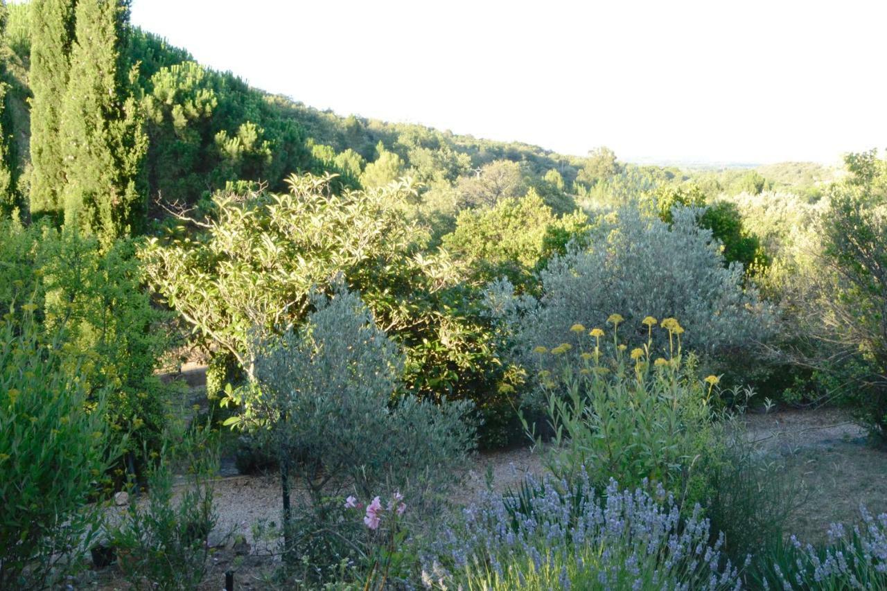 La Briardiere Camélas Exterior foto